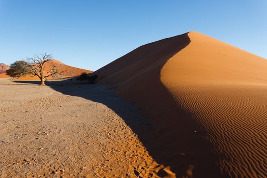 Red dunes on the road to Sossusvlei, Namibia