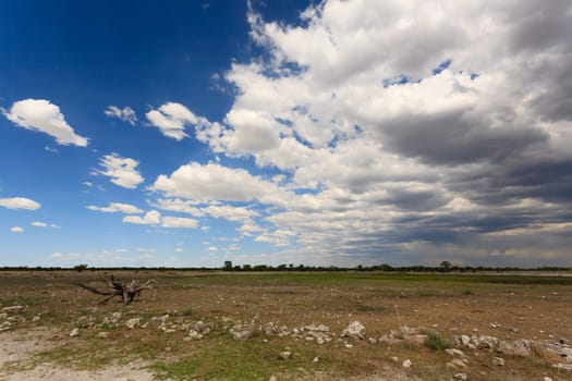 Panorama from Etosha National Park, Namibia