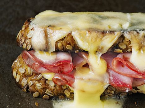 close up of rustic french sandwich croque monsieur