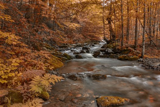 Beautiful autumn landscape with mountain river and colorful trees