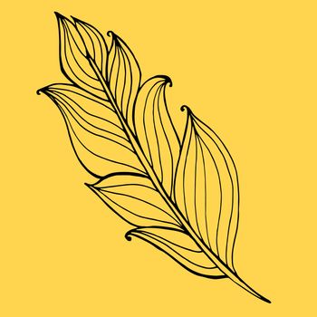 Hand drawn doodle zentangle feather isolated from background. Black and white illustration.