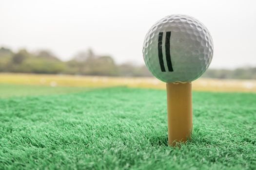 Golf ball on a Tee in driving range