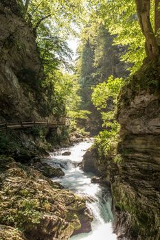 The fabulous Vintgar Gorge near lake Bled in Slovenia.