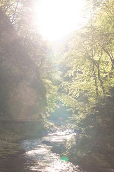 The fabulous Vintgar Gorge near lake Bled in Slovenia.