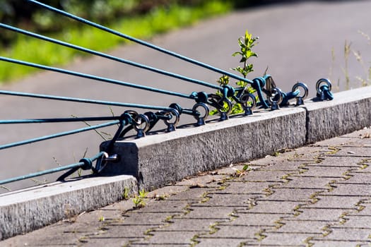 Attachment of various rubber cables anchored in the concrete.