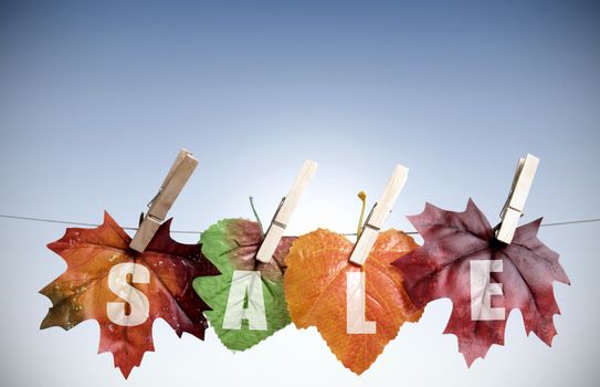 Autumn sales leaves hanging on a clothes line with background space 