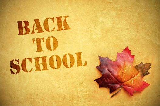 Back to school background with autumn leaf 
