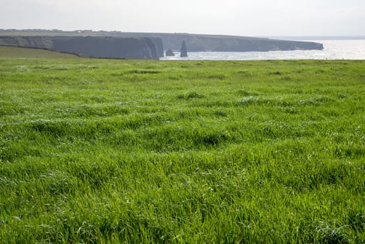 beautiful green grass of county kerry ireland