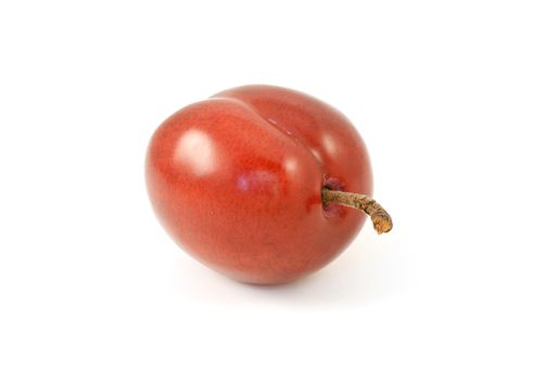 One ripe red plum with stalk, isolated on a white background