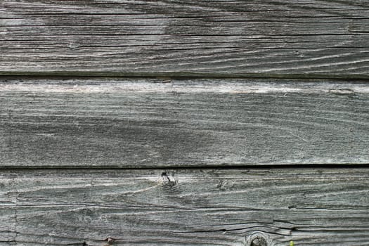 Texture of gray weathered boards of a rural barn abstract background