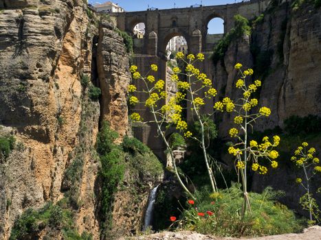 View of the New Bridge in Ronda