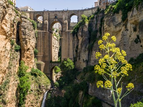 View of the New Bridge in Ronda