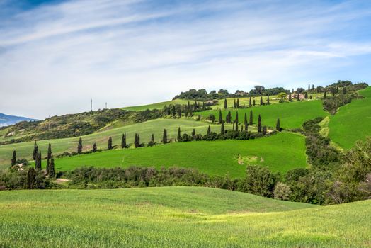 Scenery Val d'Orcia Tuscany