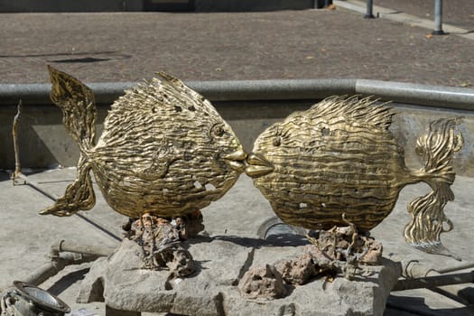 Golden Fish in an Empty Pool at Brivio Lombardy