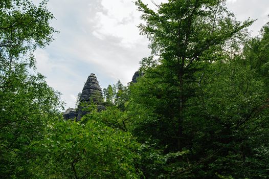 Beautiful landscape of Bohemian Switzerland with forests and gorges