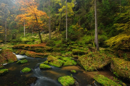 Autumn colored trees, leaves, rocks around the beautiful river