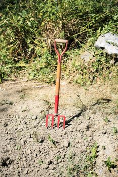 Red harvest in a terrain to cultivate