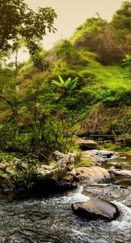 Pha Dok Seaw Waterfall in Chiang Mai, Thailand