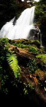 Pha Dok Seaw Waterfall in Chiang Mai, Thailand