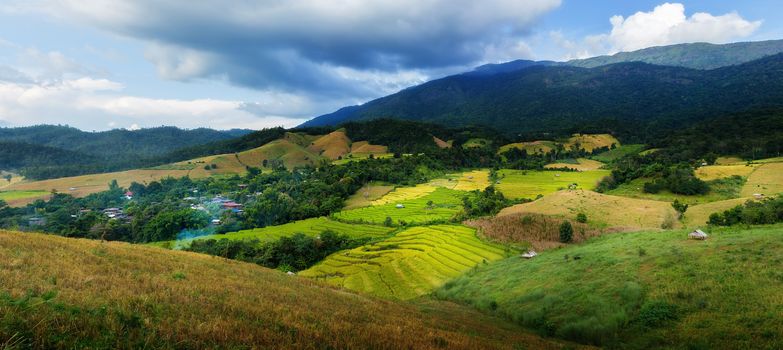 Rice terraces in Chiang Mai, Thailand