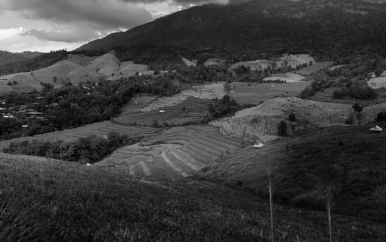 Rice terraces in Chiang Mai, Thailand
