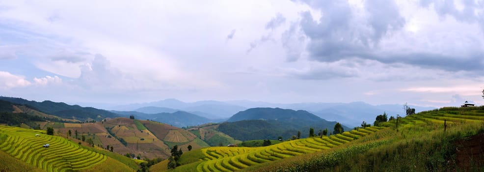 Rice terraces in Chiang Mai, Thailand