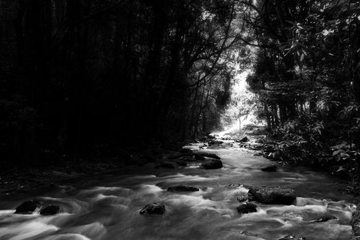 Pha Dok Seaw Waterfall in Chiang Mai, Thailand