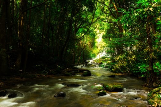 Pha Dok Seaw Waterfall in Chiang Mai, Thailand
