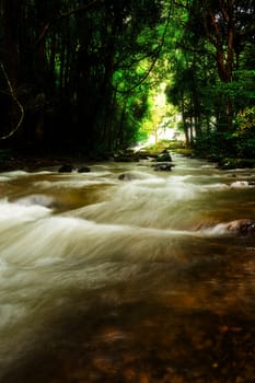 Pha Dok Seaw Waterfall in Chiang Mai, Thailand