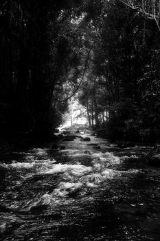 Pha Dok Seaw Waterfall in Chiang Mai, Thailand