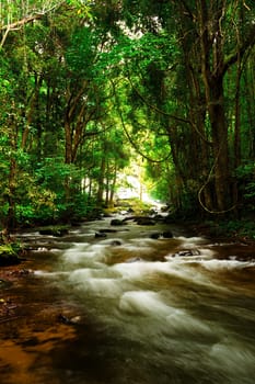 Pha Dok Seaw Waterfall in Chiang Mai, Thailand