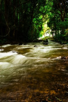 Pha Dok Seaw Waterfall in Chiang Mai, Thailand