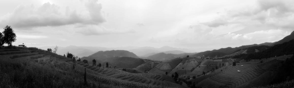 Rice terraces in Chiang Mai, Thailand