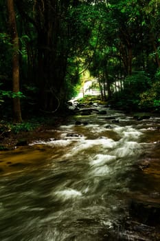 Pha Dok Seaw Waterfall in Chiang Mai, Thailand