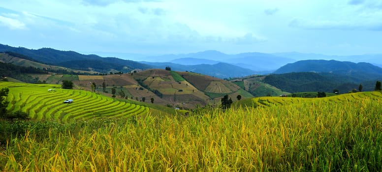 Rice terraces in Chiang Mai, Thailand