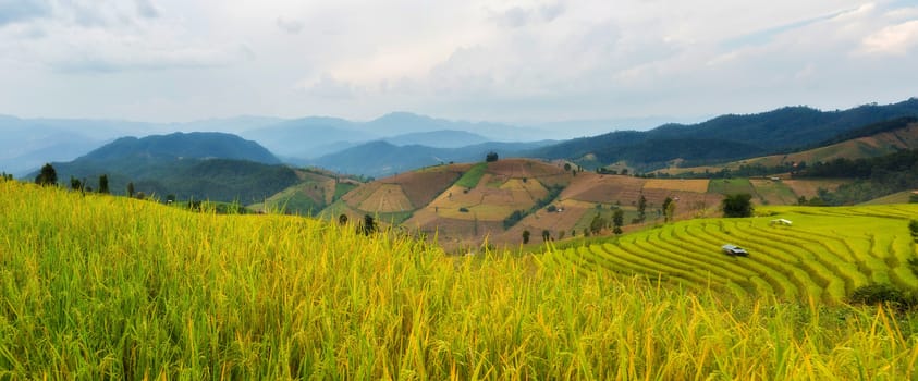 Rice terraces in Chiang Mai, Thailand