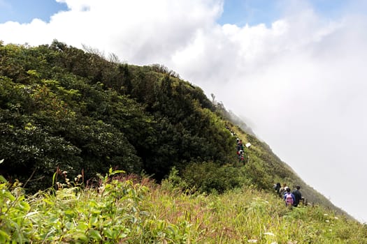 Landscape from Kew Mae Pan Nature Trail located at Chiang Mai