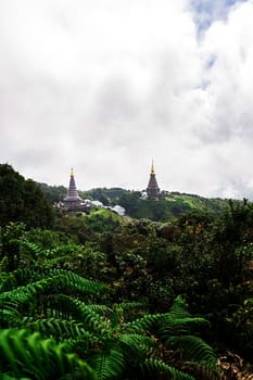 Landscape from Kew Mae Pan Nature Trail located at Chiang Mai