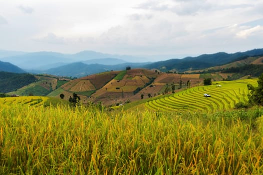 Rice terraces in Chiang Mai, Thailand