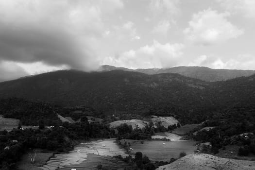 Rice terraces in Chiang Mai, Thailand