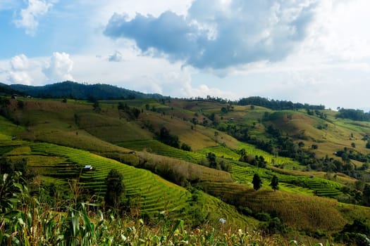 Rice terraces in Chiang Mai, Thailand