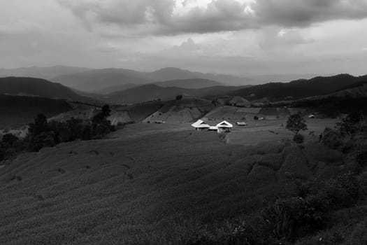 Rice terraces in Chiang Mai, Thailand