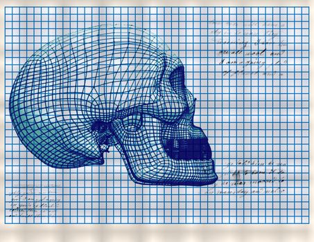 Coordinate grid with an abstract image of the human skull