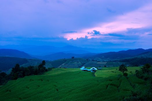 Rice terraces in Chiang Mai, Thailand