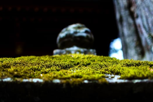 Mossy stone lantern with close-up detailed view