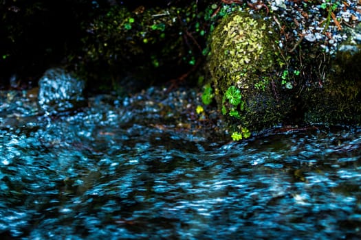 Water stream in Nikko, Japan