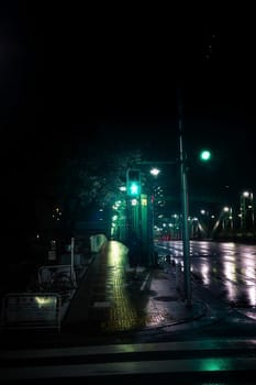 Japan at night