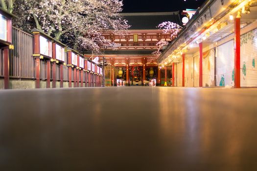 Sakura blossoms in Tokyo