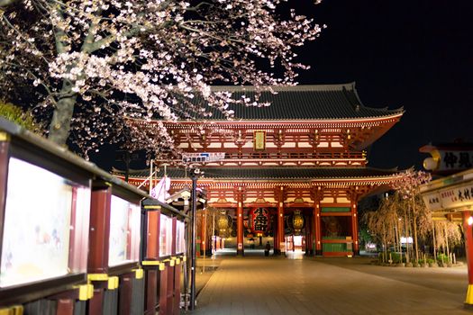 Sakura blossoms in Tokyo