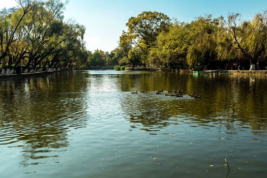 Landscape of Green lake parks located at Kunming city, Yunnan, China